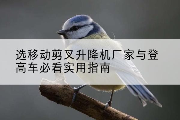 云龙电动升降机厂家-选移动剪叉升降机厂家与登高车必看实用指南