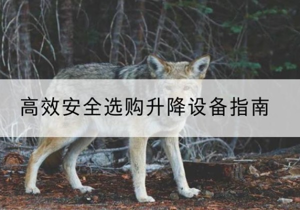 云龙升降货梯厂家推荐-*安全选购升降设备指南